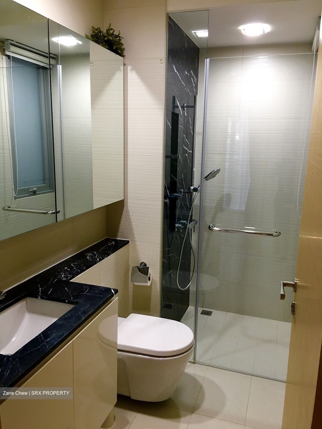 The Scala (D19), Apartment #417181331